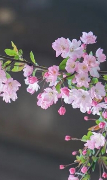 在中医眼里，最好的养生方法都是免费的