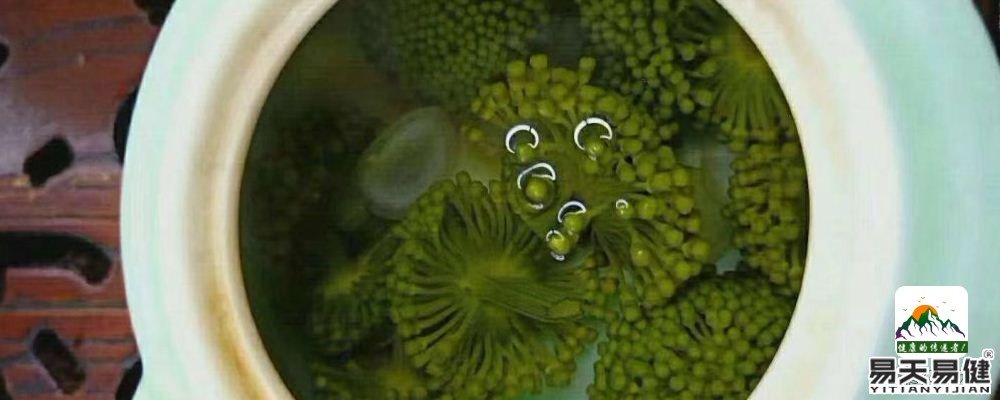 清热平肝 三七花的功效与作用