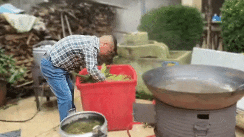 163347nzdtdtuh5pmtuqgl.gif