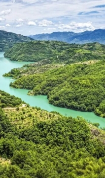 记者探访：大如乒乓！文成东魁杨梅成熟上市了