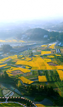 二源“乐在湖田”未来乡村