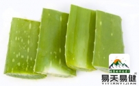 芦荟清肝泻下还美容 怎么用效果更好？易天易健