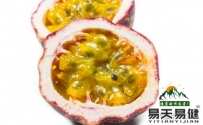 用百香果泡水喝能带来5个好处易天易健