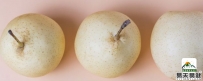 秋季润肺吃什么 推荐2款食物易天易健