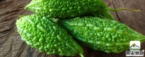 如何去除体内湿气 8种食物有效果易天易健